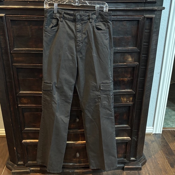 Sanctuary Other - Sanctuary Standard Surplus Women’s Dark Brown Cargo Pants size 29